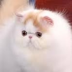 Vicky Lin - Facebook