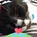 Vicki Liston - Facebook