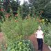 Vicki Lloyd - Facebook