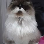Vicki Lloyd - @vicki0633 - Instagram
