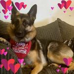 Vicki Locke - @vicki.locke.31 - Instagram