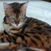 Vicki Longwell - Facebook