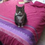 Vicki Lowe - Facebook