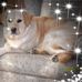 Vicki Mackey - Facebook