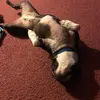 Vickie Maher - @vickiemaher - TikTok