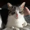 vickimarch6 - @vickimarch6 - TikTok