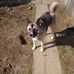 Vickie Markley - Facebook