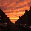 vicki.marr - @vicki.marrspamm - TikTok