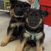 Vicki Mathews - Facebook