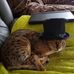 Vicki Mathieson - Facebook