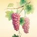Vicki Matlock - Facebook