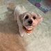 Vicki Maust - Facebook