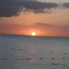 vicki maust - @vickimaust - TikTok