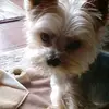 Vicki Maust - @vickimaust60 - TikTok