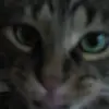 vldmaxwell5 - @vickimaxwell - TikTok