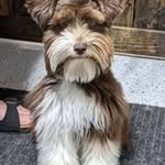 @mccaleb.vicki - Instagram