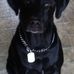 Vicki McComas Mccarthy - Facebook