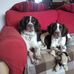Vicky Mccourt - Facebook