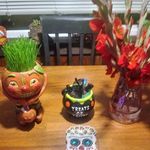 Vicki McElroy - @mcelroy5565 - Instagram