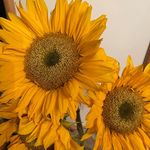 Vickie McElroy - @igotlots - Instagram