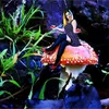 Vic Meehan - @vic.meehan - TikTok