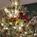 Vicki Melanson - @vycky72 - Instagram