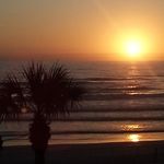 Vicki Meredith - @meredithvicki439 - Instagram