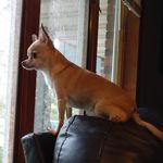 Monica Vicki Meyers - @monica.meyers.549 - Instagram