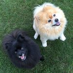 vicki meyers - @vickimeyers6806 - Instagram