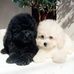 Vickie Midkiff - Facebook