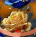 Vicki Miranda - Facebook