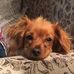 Vickie Mize - Facebook