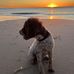 Vicky Monk - Facebook