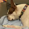 Vicki Monroe - @vicki.monroe8 - TikTok
