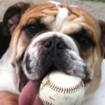 Vicki Monte - @vmon14rock - Instagram