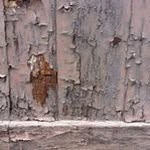 Vicki Mortimer - @vickiins - Instagram