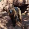 vickimottayers - @vickimottayers - TikTok