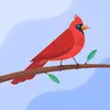 Vicki Murrell - @vicki.murrell - TikTok
