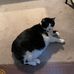 Vicki Neff - Facebook