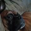 Vicki Newbern - @vicki.newbern - TikTok