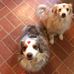 Vicki Nickell - Facebook