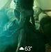 Vickie Graham Norfleet - Facebook
