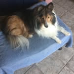 Vicki OBrien - @vicki.obrien.5015 - Instagram