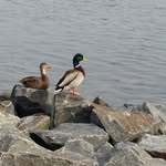 Vicki O'Connor - @vjno1160 - Instagram