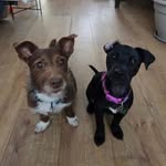 Vicki Ogle - @vickirogle - Instagram