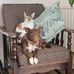 Vicki Ogle - Facebook