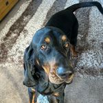 Vicky Oldham - @oldhamvicky - Instagram