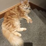 Vicki Oman - @vicki.oman.9 - Instagram