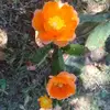 Vicky Otto - @vicky.otto4 - TikTok