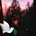 Vicki Ovall - Facebook